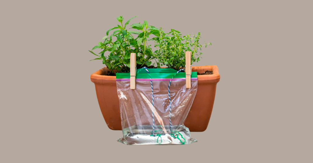 capillary action in a self-watering planter in self-watering indoor herbs planters