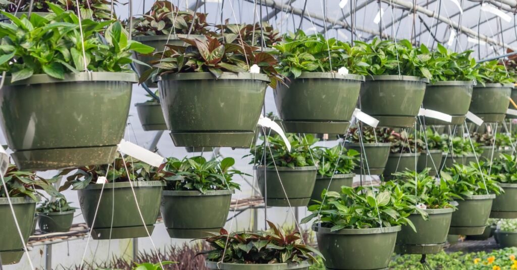 Benefits of Vertical Gardening - Growing Herbs in Hanging Baskets