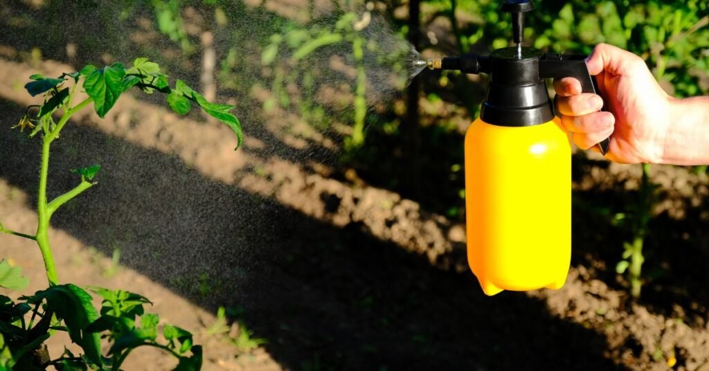 Pest Prevention- Kitchen Gardening in India